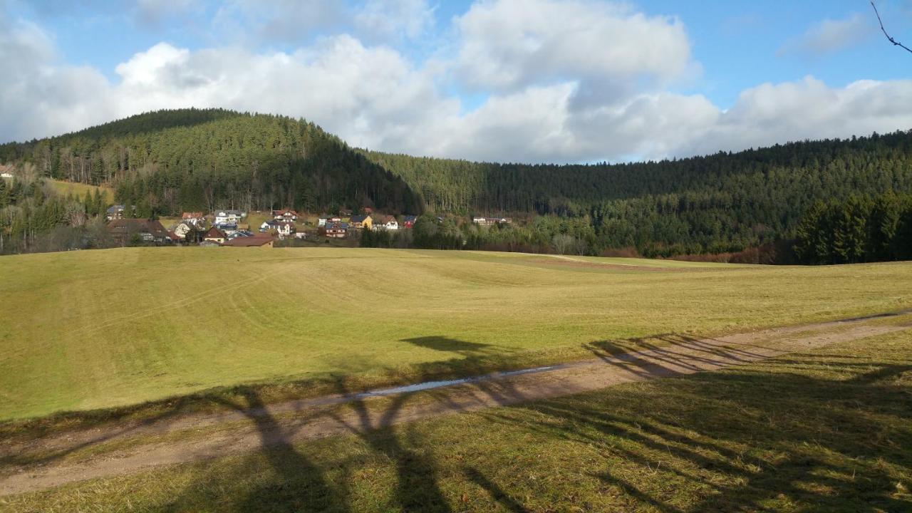 Oeko-Landhotel Basler Hof Lauterbach  Extérieur photo